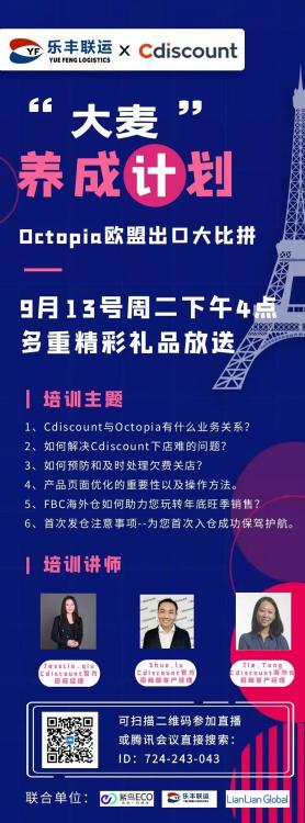樂豐聯運攜手Cdiscount官方，全方位攻克開店、運營、發貨三大難題！-樂豐貨運｜樂豐國際貨運｜樂豐電商物流